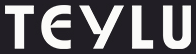 Teylu & Partners logo